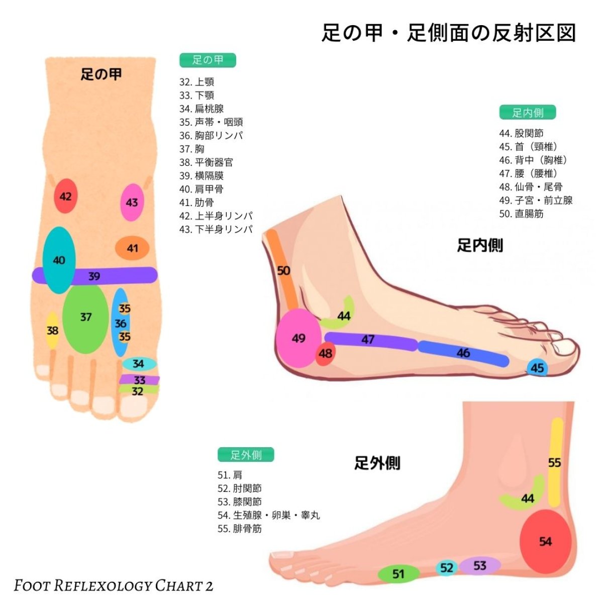 画像4: 東洋式リフレクソロジー