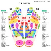 反射区のフットチャート